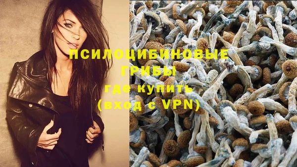 трава Аркадак