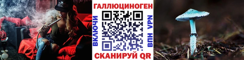 shop какой сайт Емва Галлюциногенные грибы MAGIC MUSHROOMS